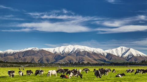 Adobe Stock 437056480