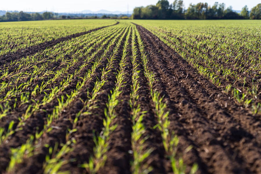 Shutterstock 1207512334