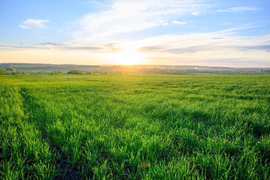 Adobe Stock 434861058