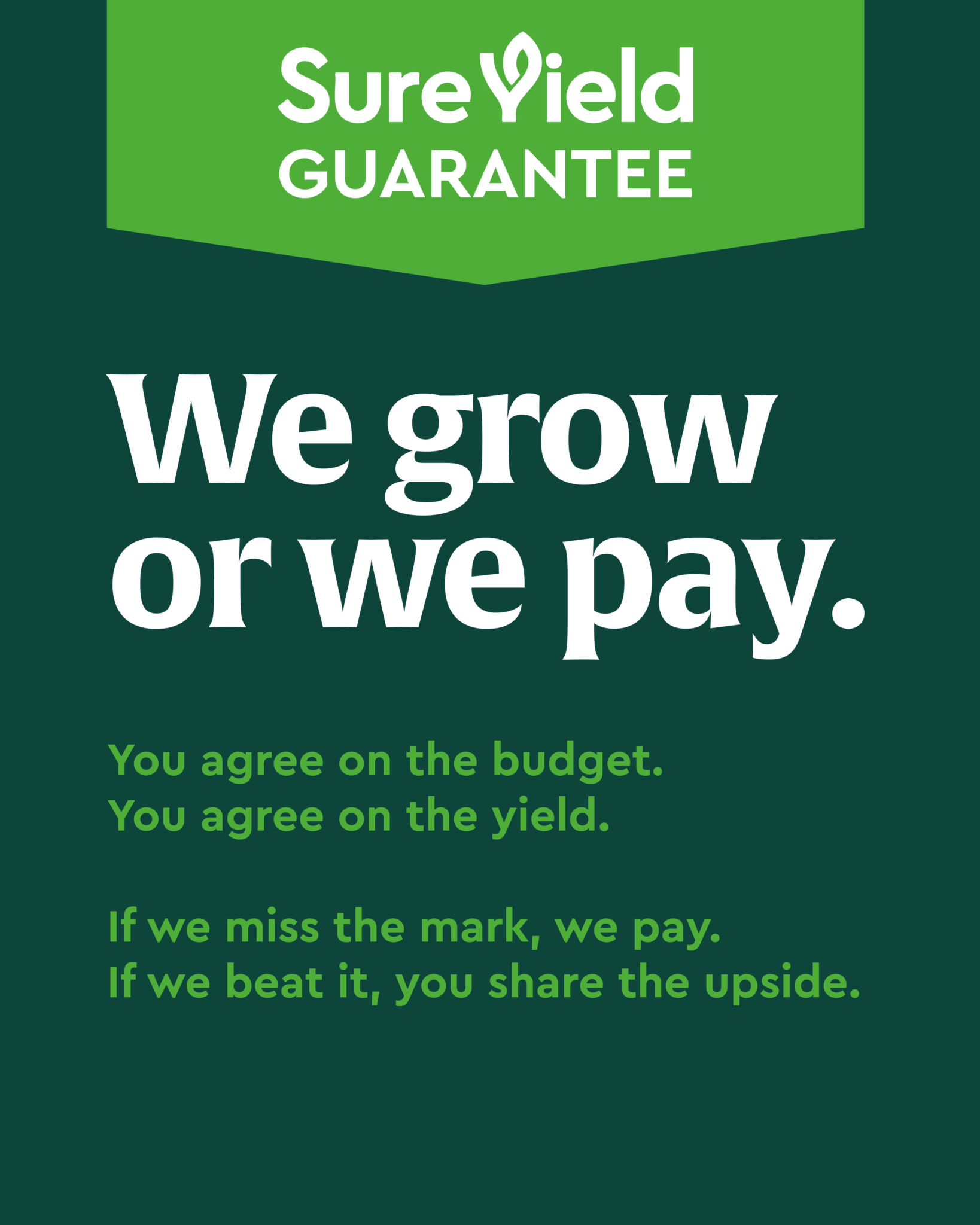 Catalyst SY Guarantee 4x5 3